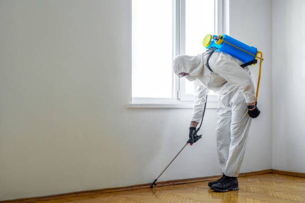 Best Residential Pest Control  in Princeton Junction, NJ